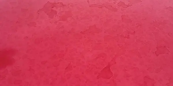 Supagard Paint and Fabric Protection